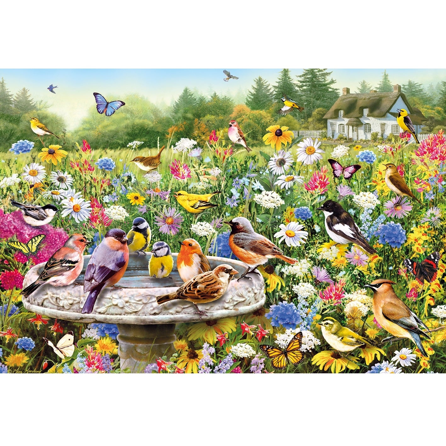 Puzzle - Der geheime Garten (100 XXL)