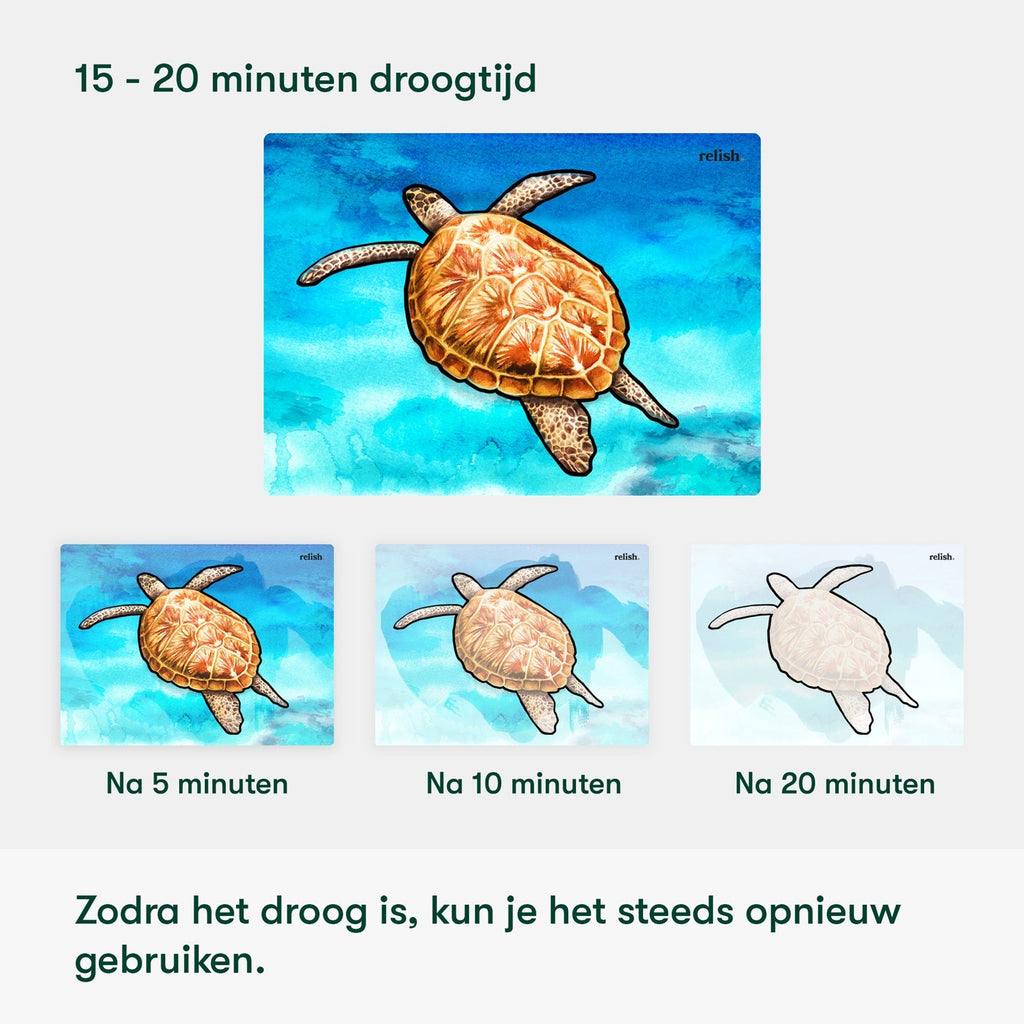 Malen mit Wasser - Leben im Ozean