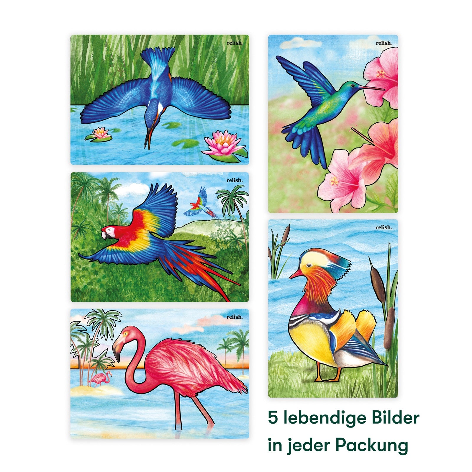 Malen mit Wasser - Magnificant Birds