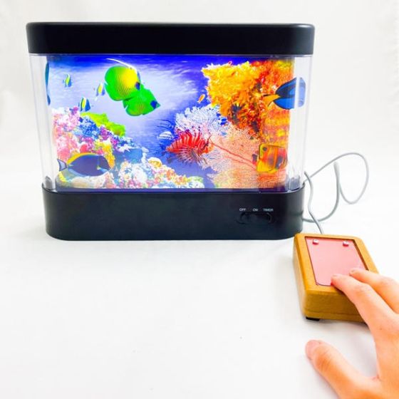 Aquarium Rund