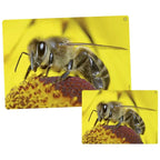 Fotobox – Tiergeräusche und Bilderbuch