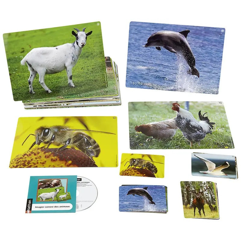 Fotobox – Tiergeräusche und Bilderbuch